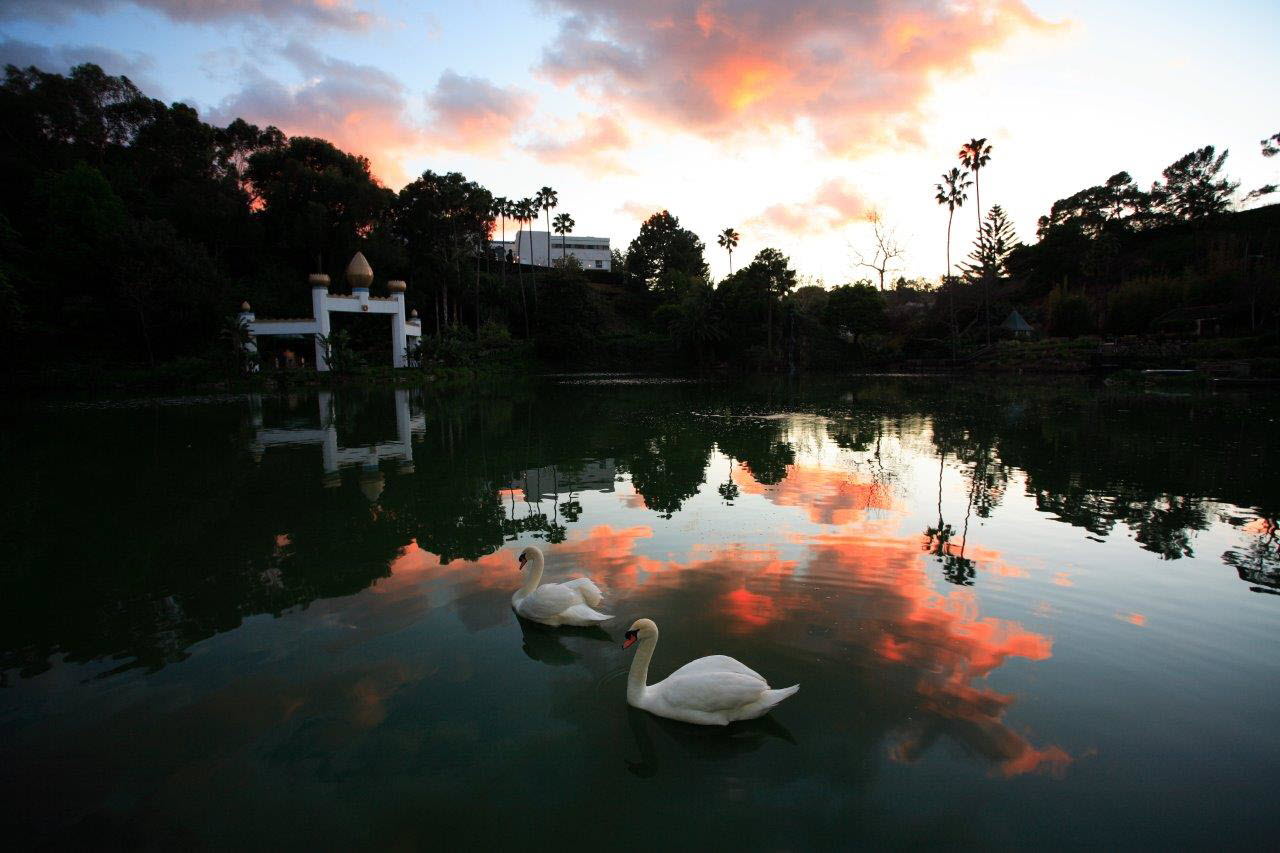 Lake Shrine (3)